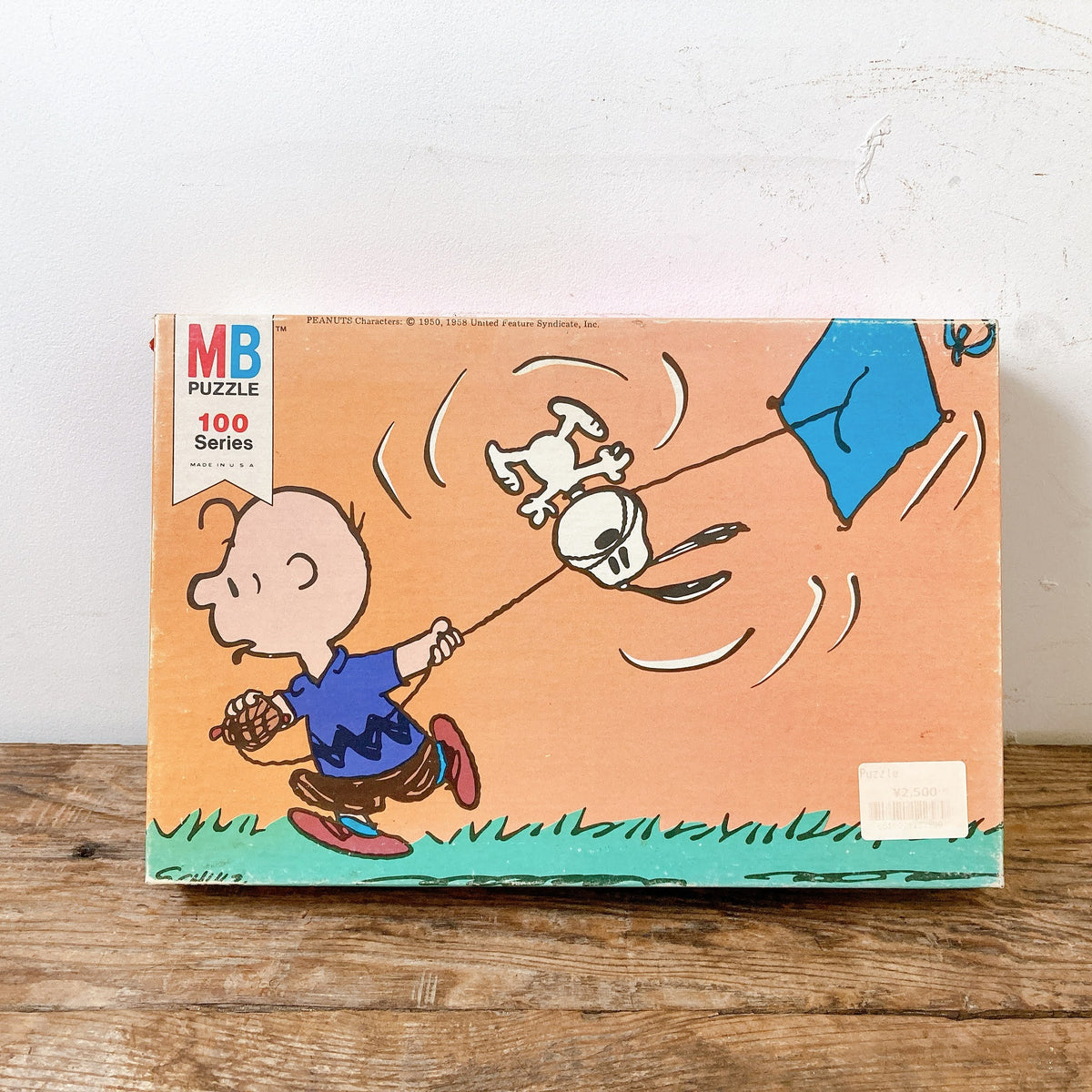 品番2589-7 ジグソーパズル PEANUTS スヌーピー チャーリーブラウン