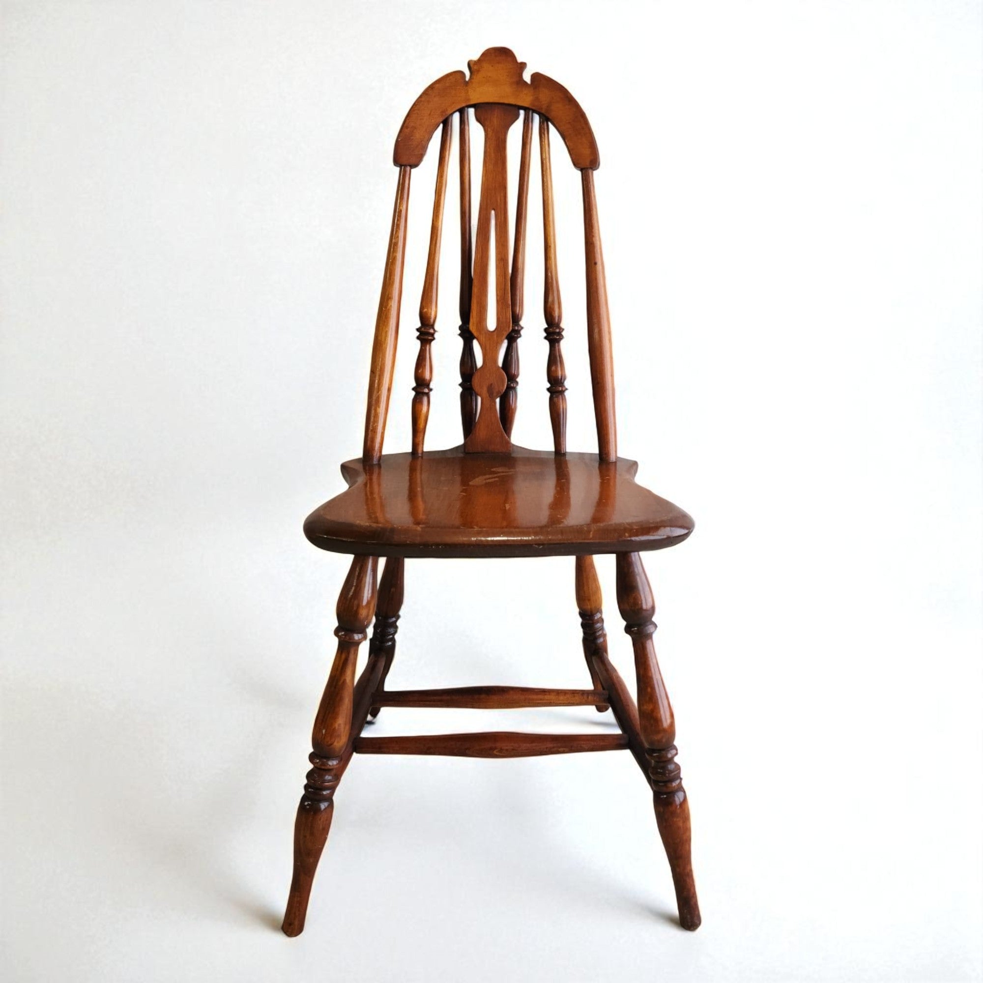 ヒッポフェアオイデス/R.hippophaeoides【現品発送】管理70490 ヒッポフェアオイデス/R.hippophaeoides【現品発送】管理70490