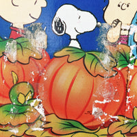 品番2091-5　VHSビデオ　It's The Great Pumpkin, Charlie Brown　ピーナッツ　スヌーピー　チャーリーブラウン　ヴィンテージ　千葉店