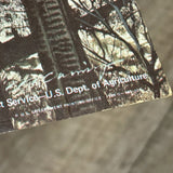 ヴィンテージポスター 【スモーキーベア（Smokey Bear）】　広告ポスター