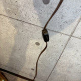 電飾看板　【Stroh's Beer（ストローズ・ビール）】　ポルタホールモチーフ　ヴィンテージサインライト