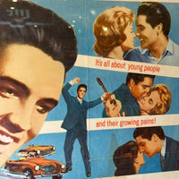 ポスター額装【Elvis Presley（エルヴィス・プレスリー）】映画『Wild in the Country』1961 ヴィンテージ