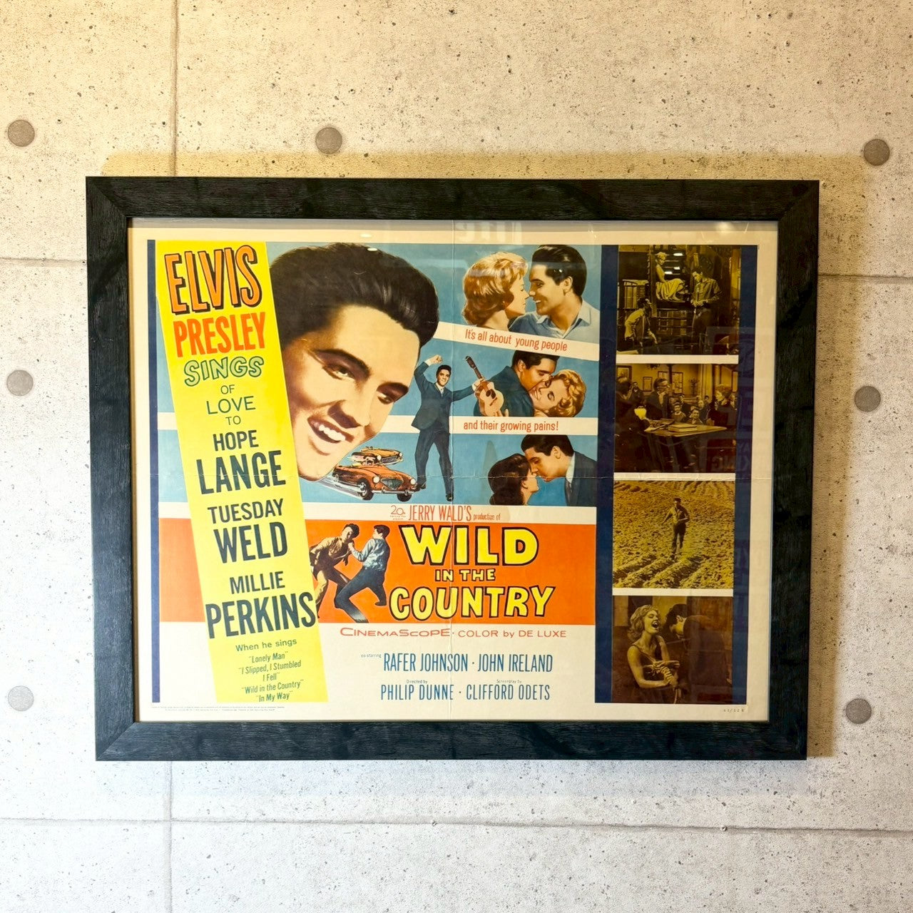 LINE_ALBUM__20250830_250902_13