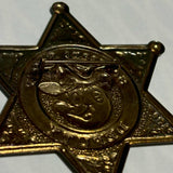 ウエスタンバッジ　【Reddy Kilowatt(レディ・キロワット)】　ピンズ　ヴィンテージアクセサリー　アメトイ