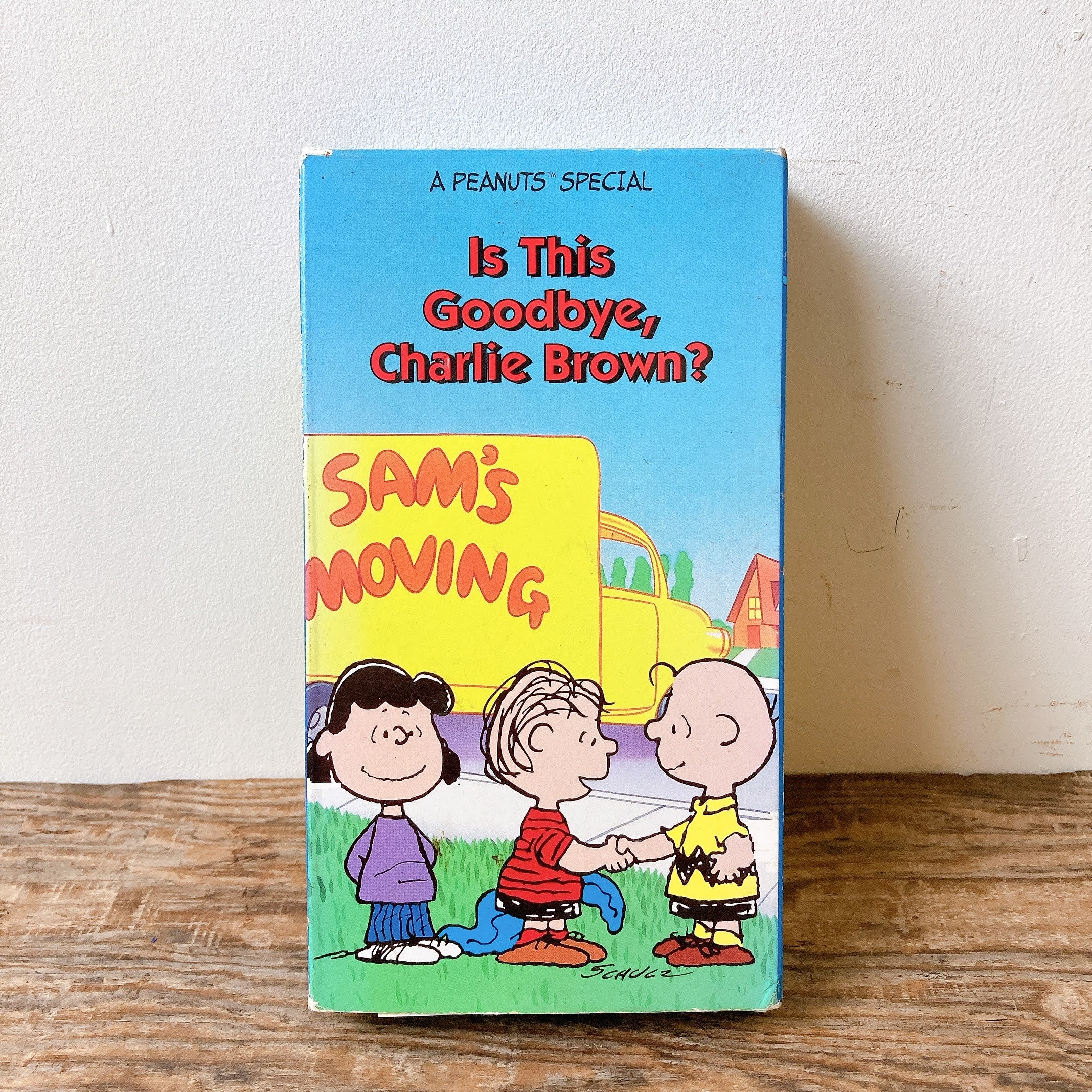 未開封 VCD PEANUTS SNOOPY チャーリー ブラウン スヌーピー メディコムトイ VCDフィギュア チャーリーブラウン